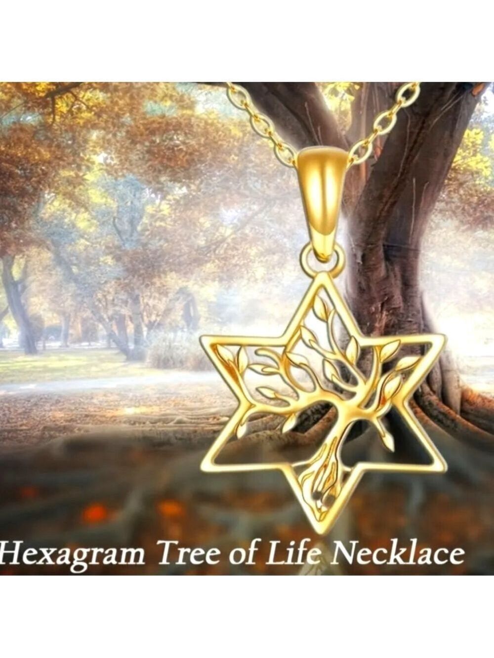 Necklace--Star Of David with Tree of Life inset, 18K Gold plate